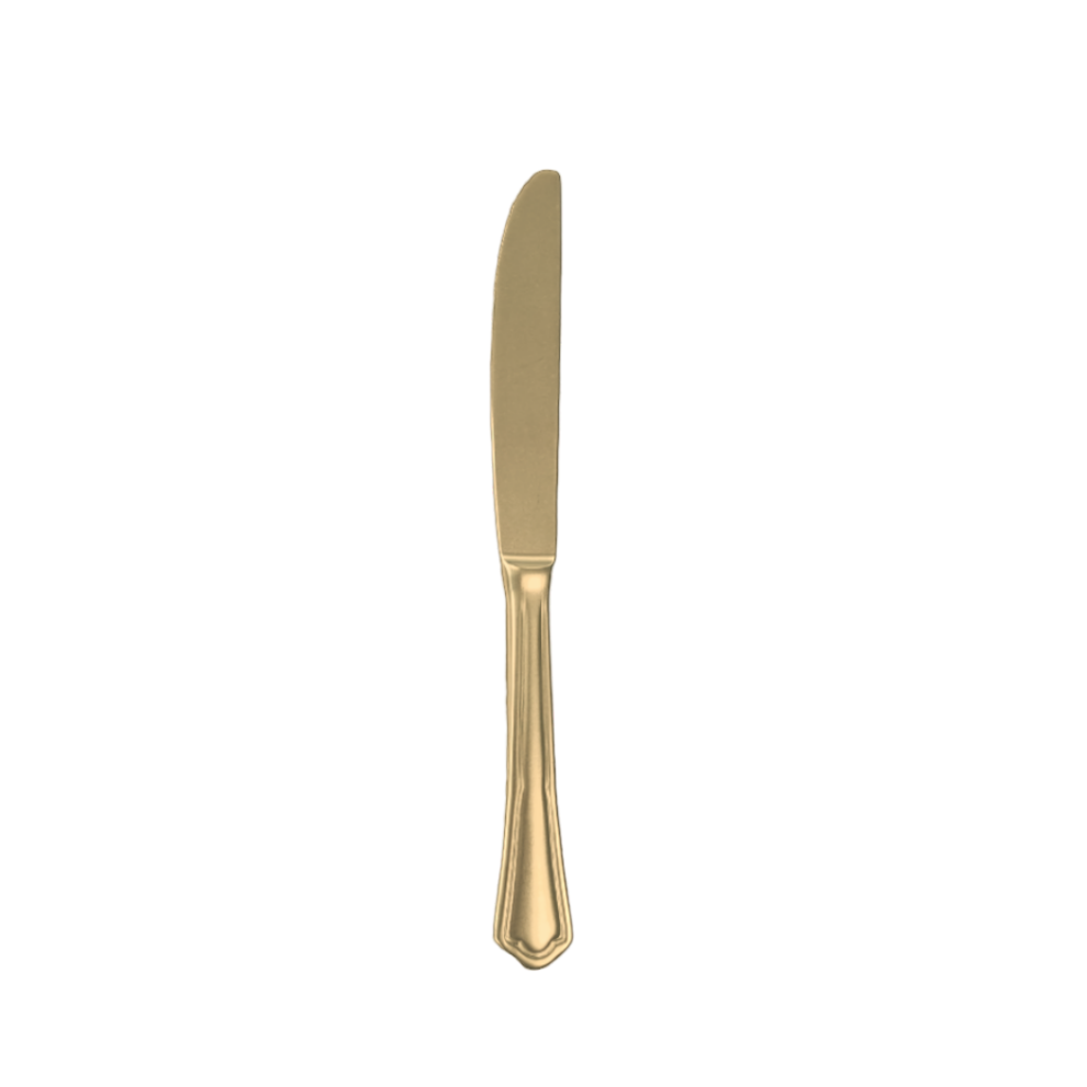 TABLE KNIFE Sire Champagne Vip ( packs of 10 )
