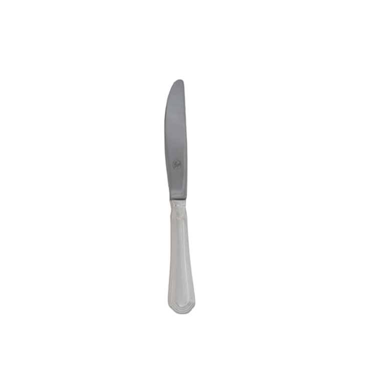 TABLE KNIFE Silver Medici ( packs of 10)