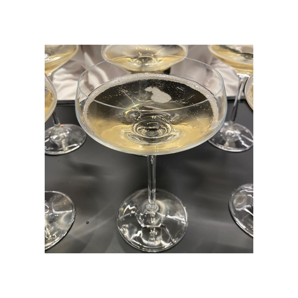 COPPA Champagne Aria cl 30 (8 per cassa)